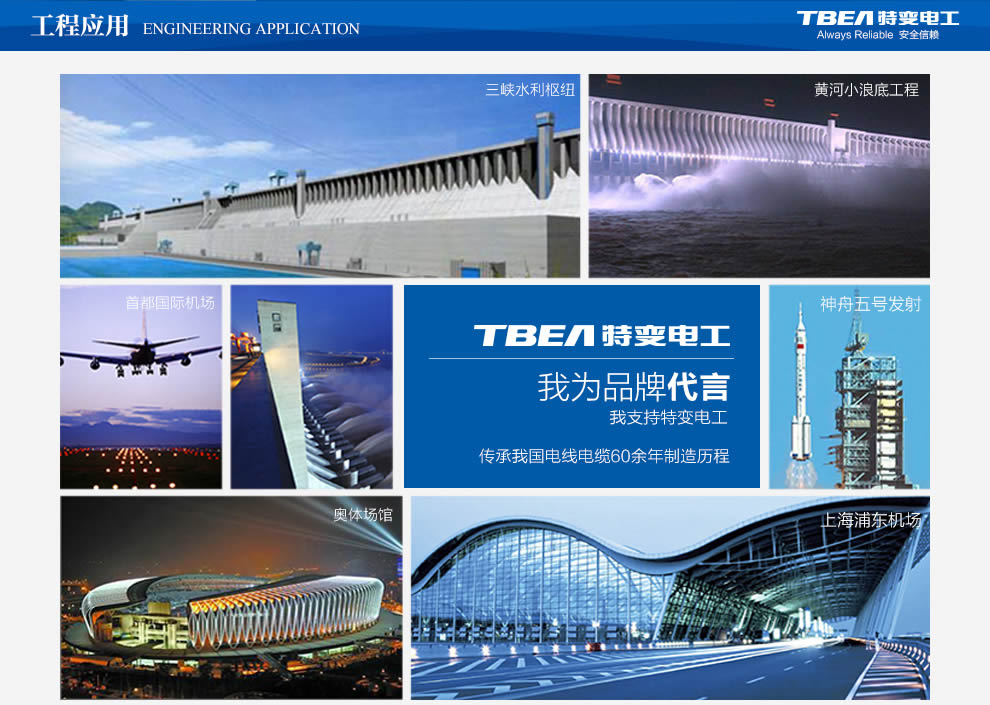 特變電工電線(xiàn)電纜 特變電工電線(xiàn)電纜