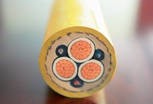 鐗瑰彉鐢?shù)宸ュQ圱BEA錛?ZR/ZC-BVR4 鐗瑰彉鐢?shù)宸ュQ圱BEA錛?ZR/ZC-BVR4