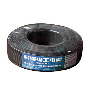 鐗瑰彉鐢?shù)宸ュQ圱BEA錛塕VV3*6 鐗瑰彉鐢?shù)宸ュQ圱BEA錛塕VV3*6